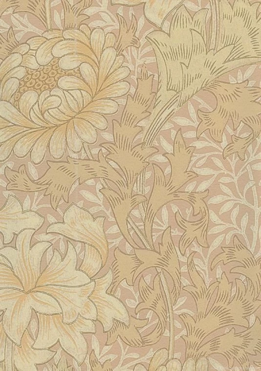 Gallery For Chrysanthemum Wallpapers