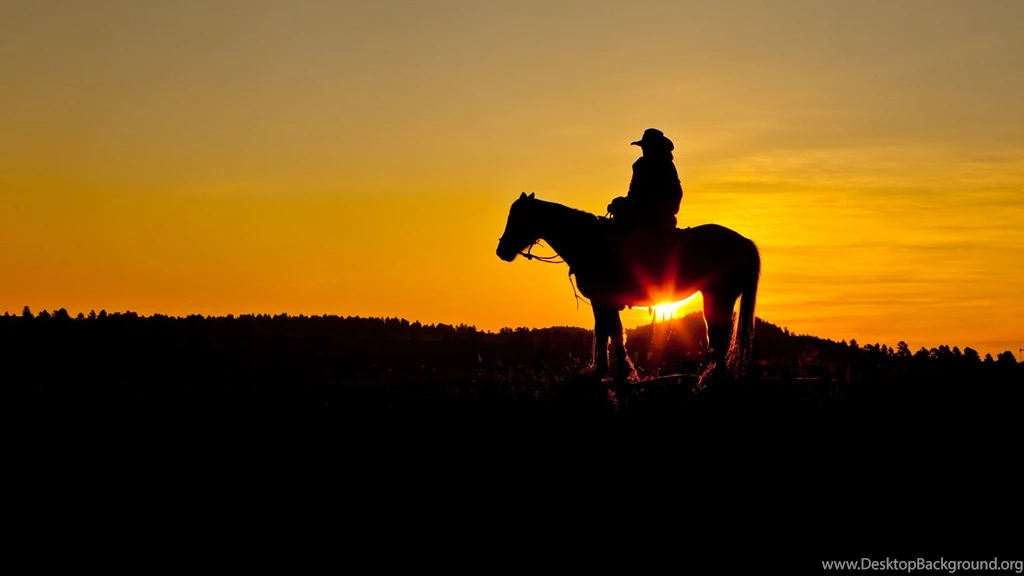 Cowboy HD Wallpapers