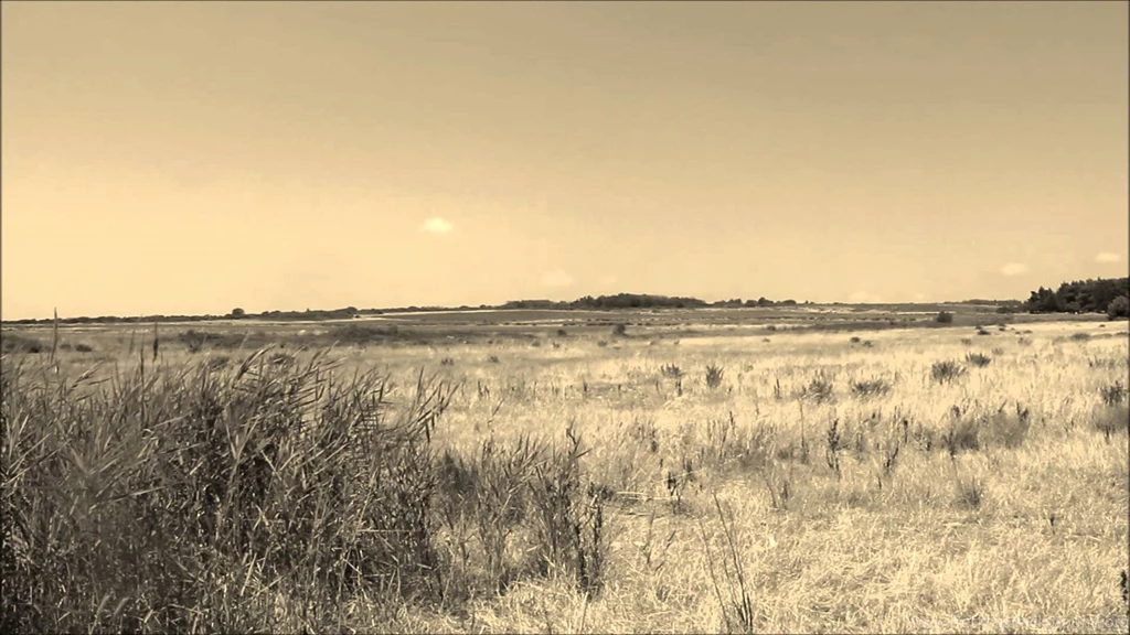 Green Screen Backgrounds Cowboy Vintage Field YouTube