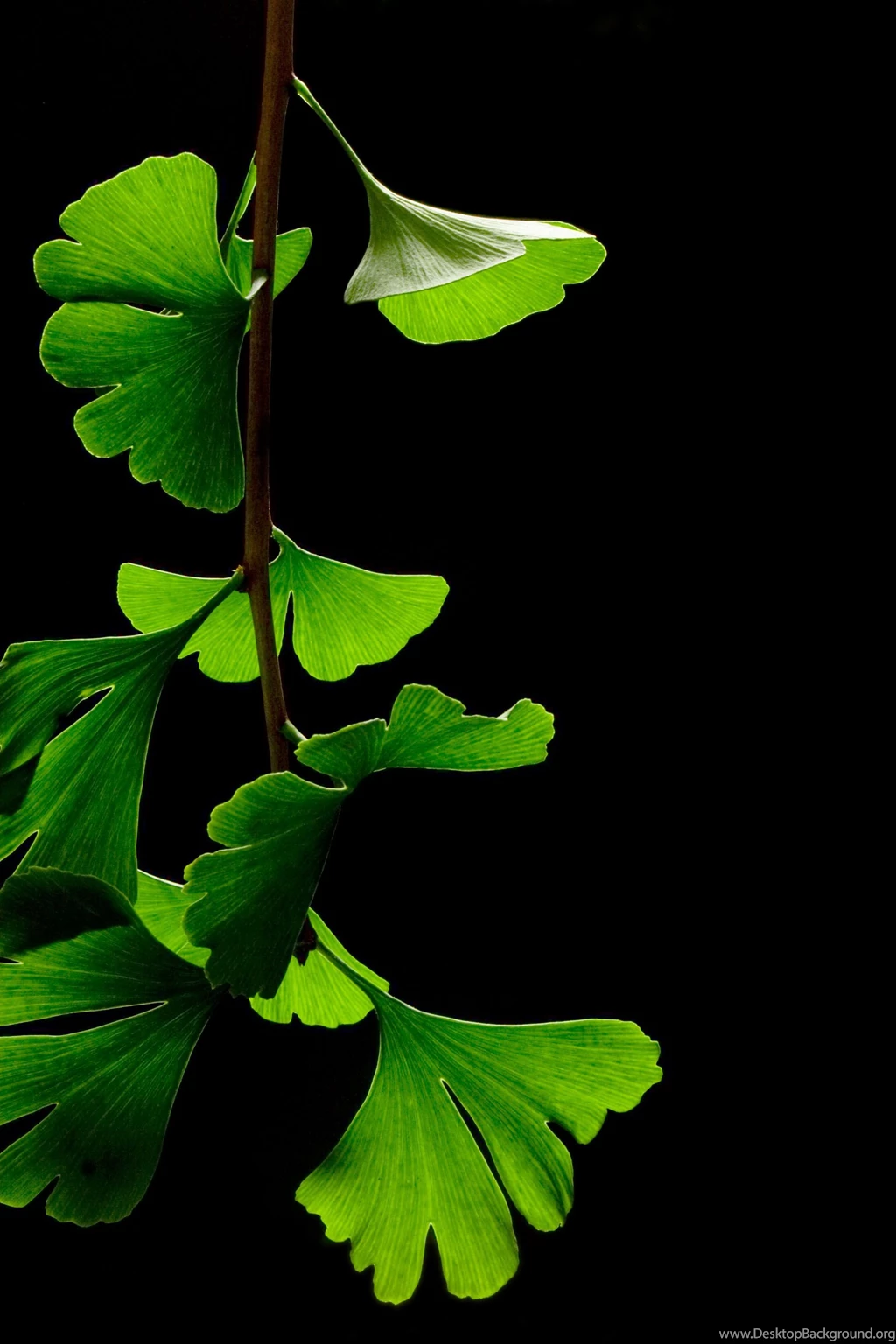 Free Download Wallpapers HD : July 2015