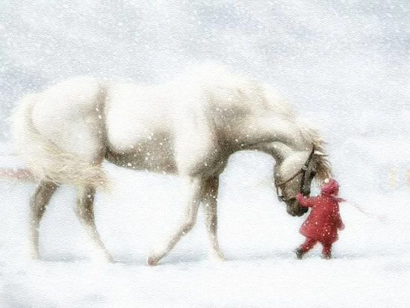 Horses Wallpapers » Blog Archive » Horse With Child Winter ...