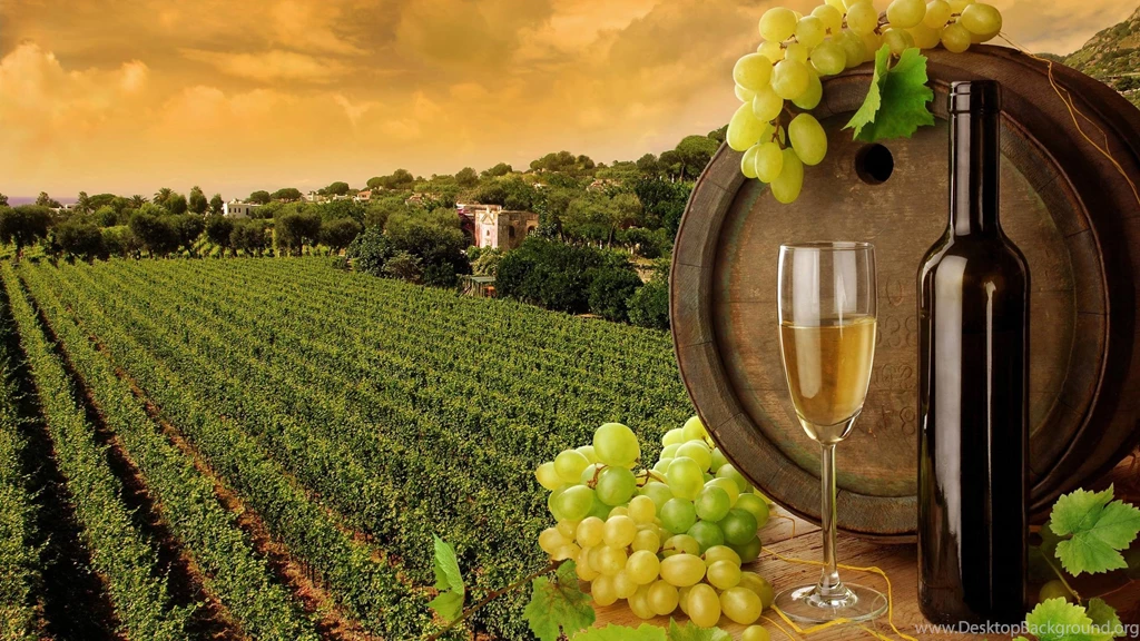 Gallery For Wine Theme Wallpapers