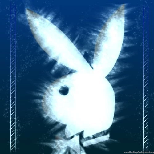 DeviantArt: More Like Playboy Logo Wallpapers 04 By Barbaraaldrette