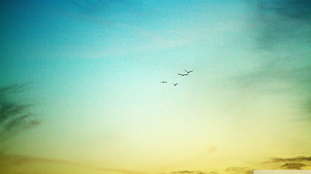 Download Cat Portrait 1 Wallpapers 1920x1080