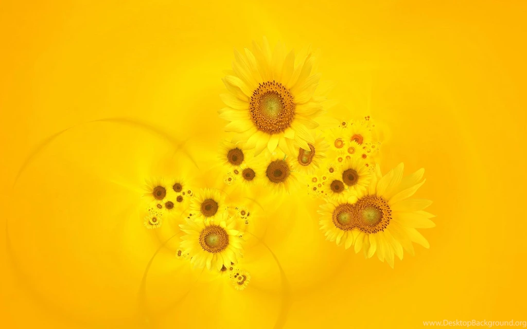 Gallery For Bright Yellow Wallpapers