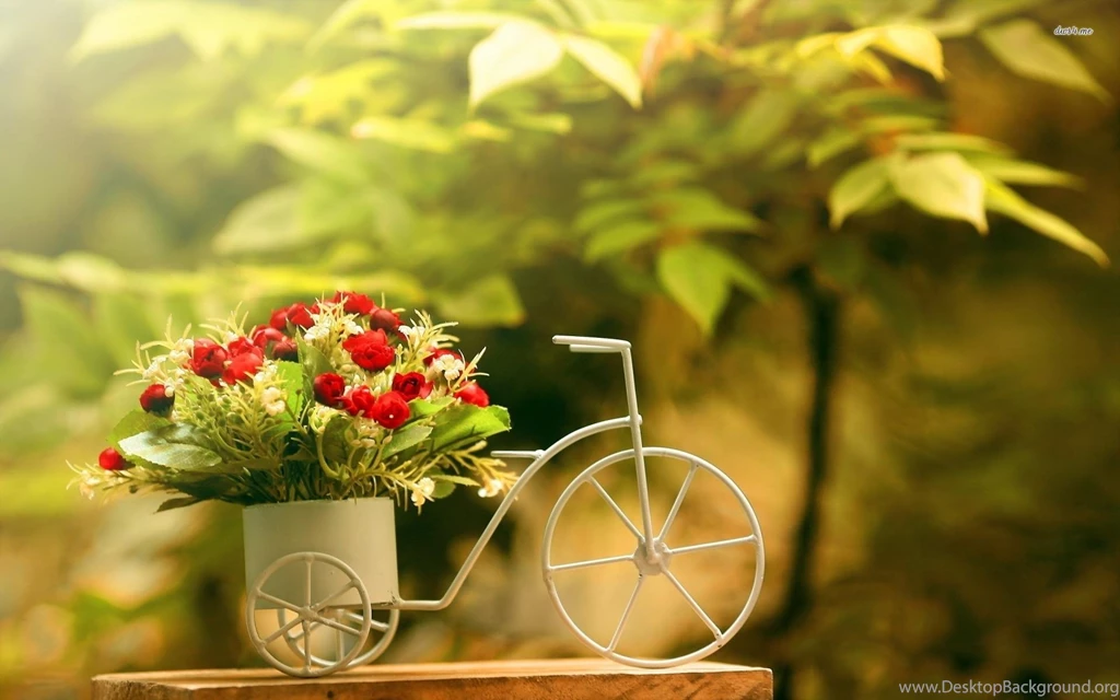 Bicycle Bike Flower Bouquet Wallpapers