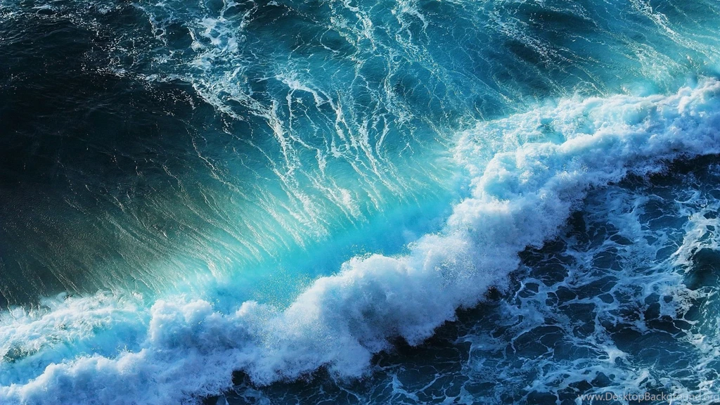 Beach Palm Sea Tropical Awesome 2560 X 1440 For Monitors ...