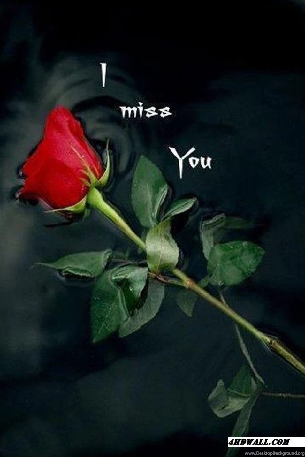 Free Mobile Phone Wallpapers Download ~ Toptenpack.com