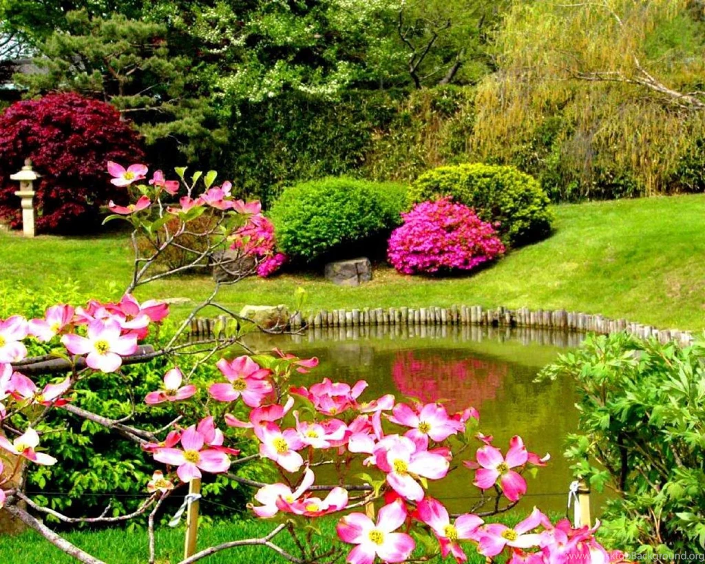 SPRINGTIME WALLPAPER (