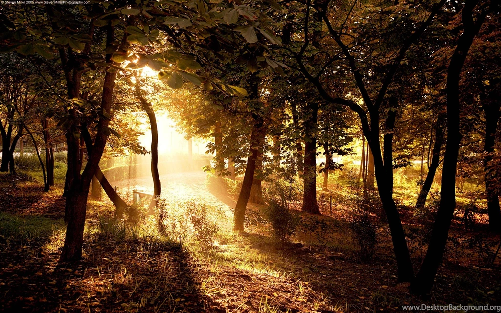 Ultra HD 4K Autumn Wallpapers HD, Desktop Backgrounds 3840x2400