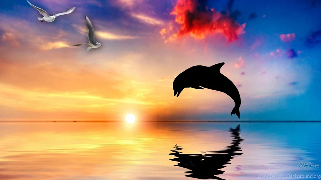 Dolphin Sunset Joy (