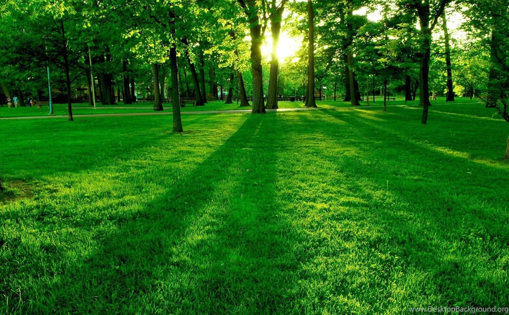 Gallery For Beautiful High Resolution Nature Wallpapers