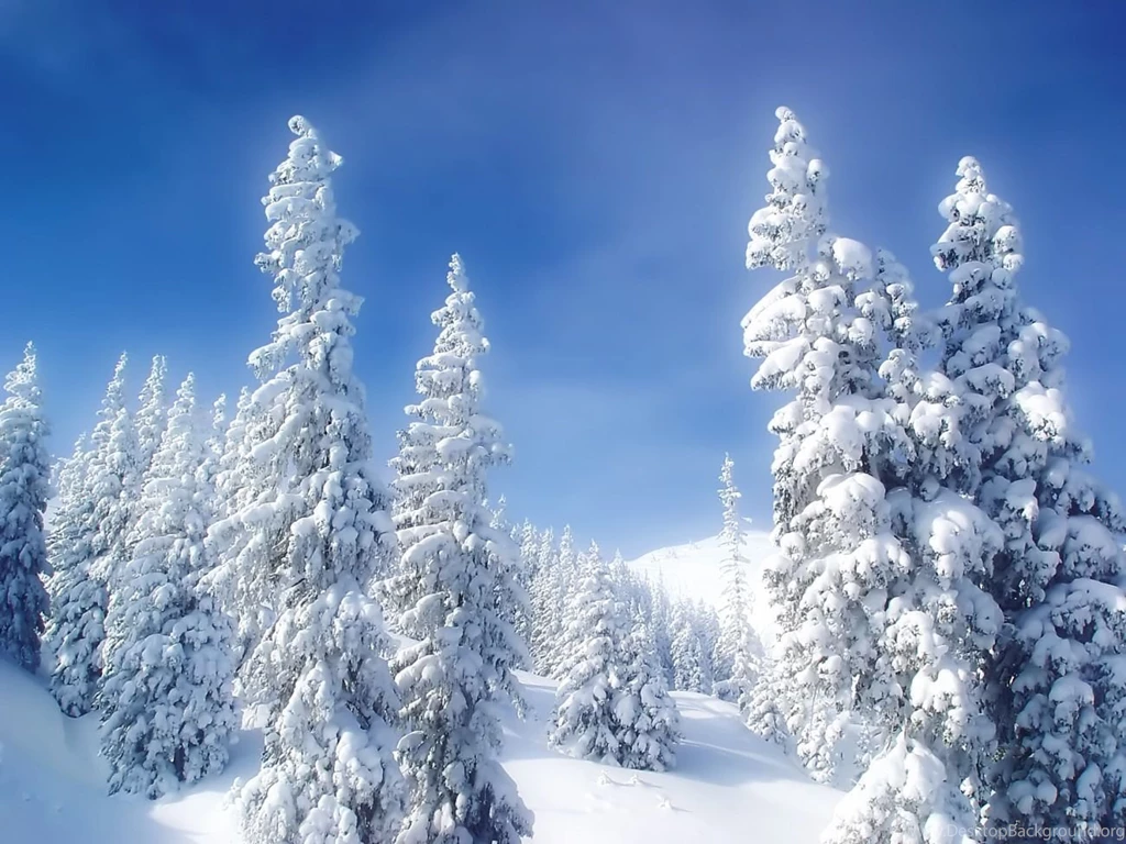 Winter Backgrounds Tumblr 2015