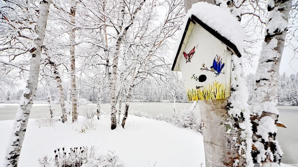 Snowy Birdhouse Winter Wallpapers For Dekstop Backgrounds Wallpapes HD