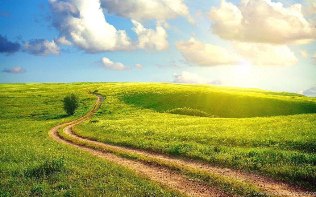 Gallery For Summer Photos Wallpapers
