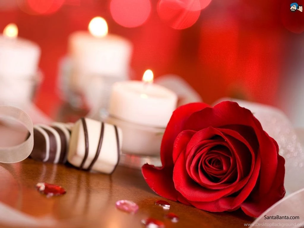 Roses Wallpapers