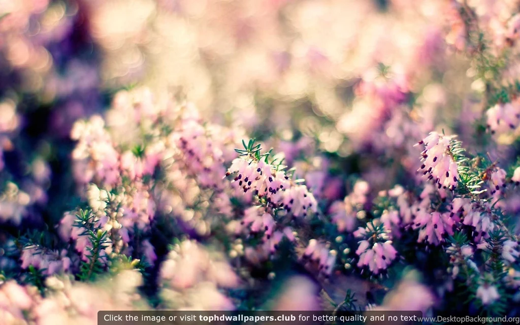 Page 744 Of Best Обои Wallpapers