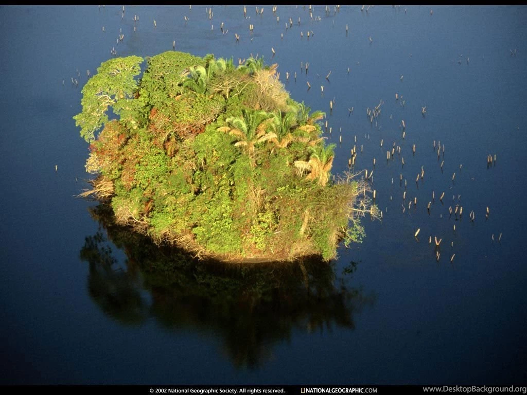 Panama, Panama Canal, 1998, Photo Of The Day, Picture, Photography ...