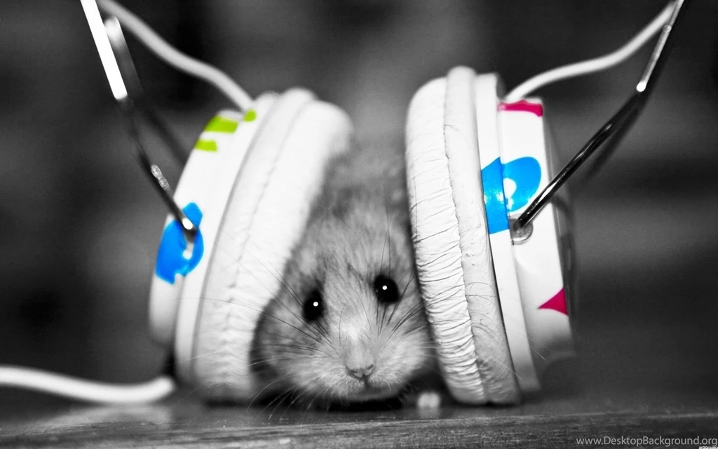Dubstep Hamster Exclusive HD Wallpapers