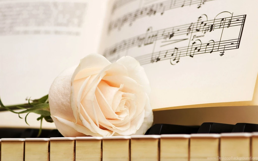 Piano White Rose Wallpapers