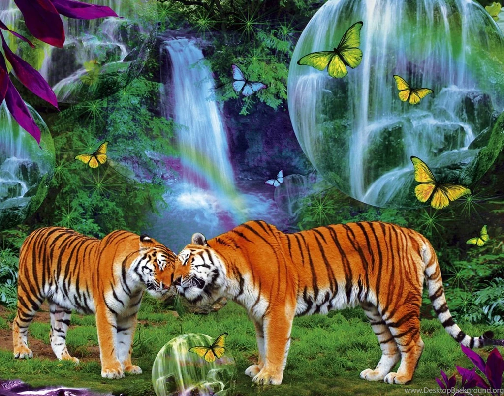 Tiger Wallpapers Tigers Fan Art (9981542) Fanpop