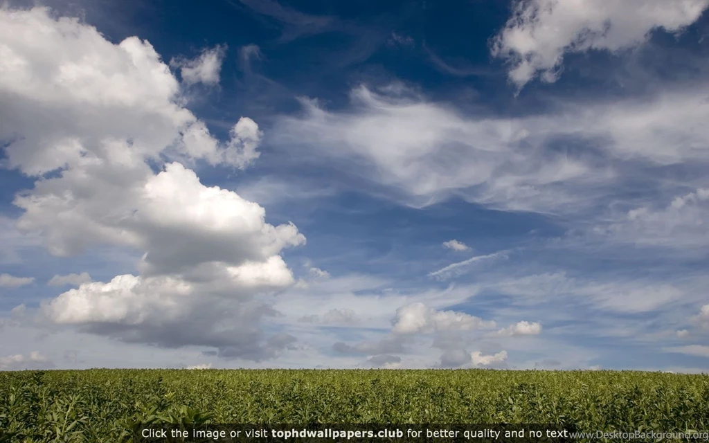 Page 8 Of Best Clouds 4K Or HD Wallpapers