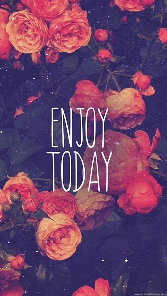 Enjoy Today Red Rose