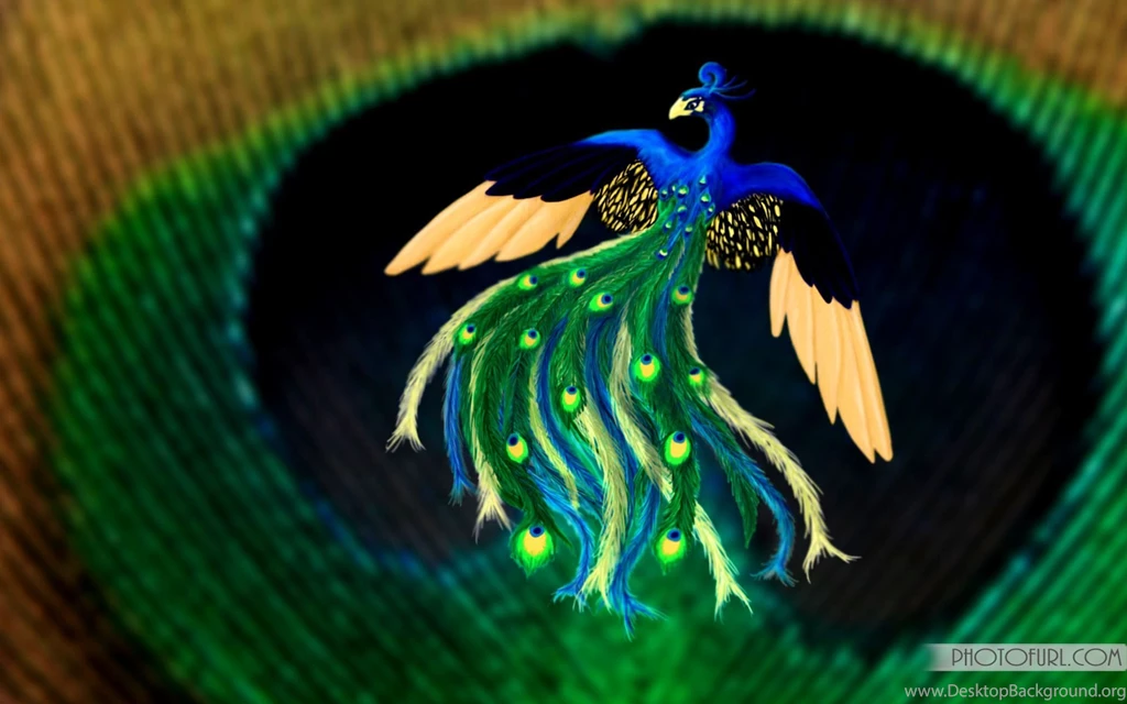 Desktop hd photo peacock bird.jpg