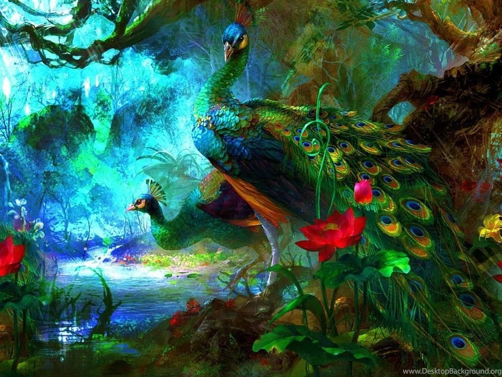 Peacock Wallpapers 16 Best Wallpapers Collection