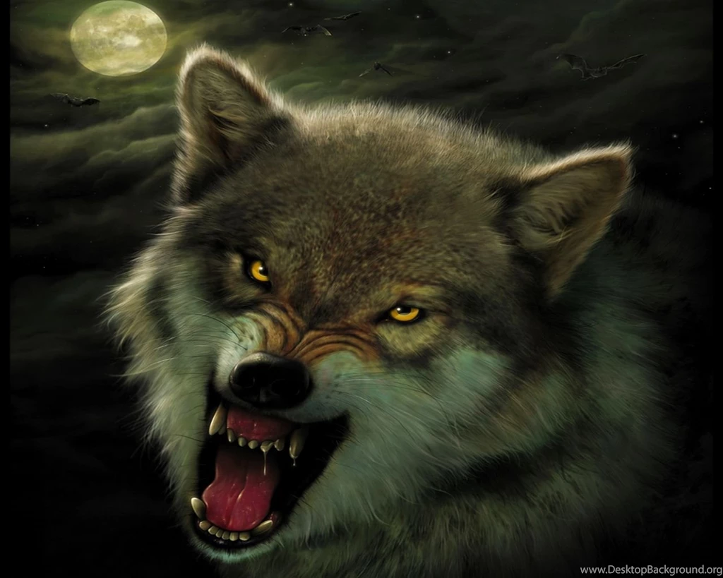 Wolf Computer Wallpapers, Desktop Backgrounds