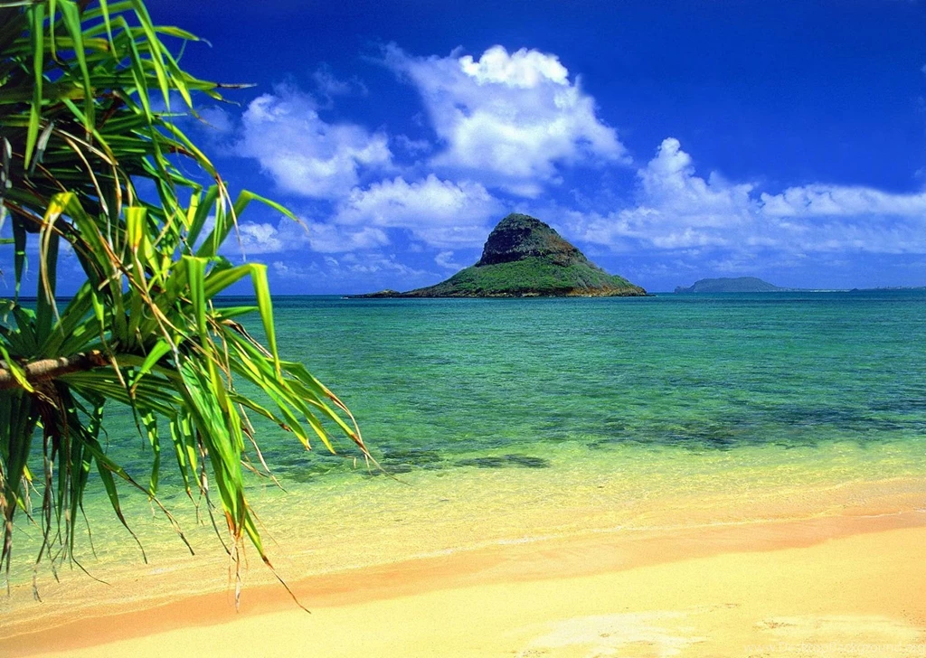 Hawaii Beach Wallpapers