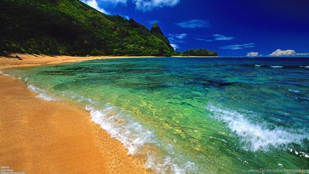 On A Trip To The World Of Aloha