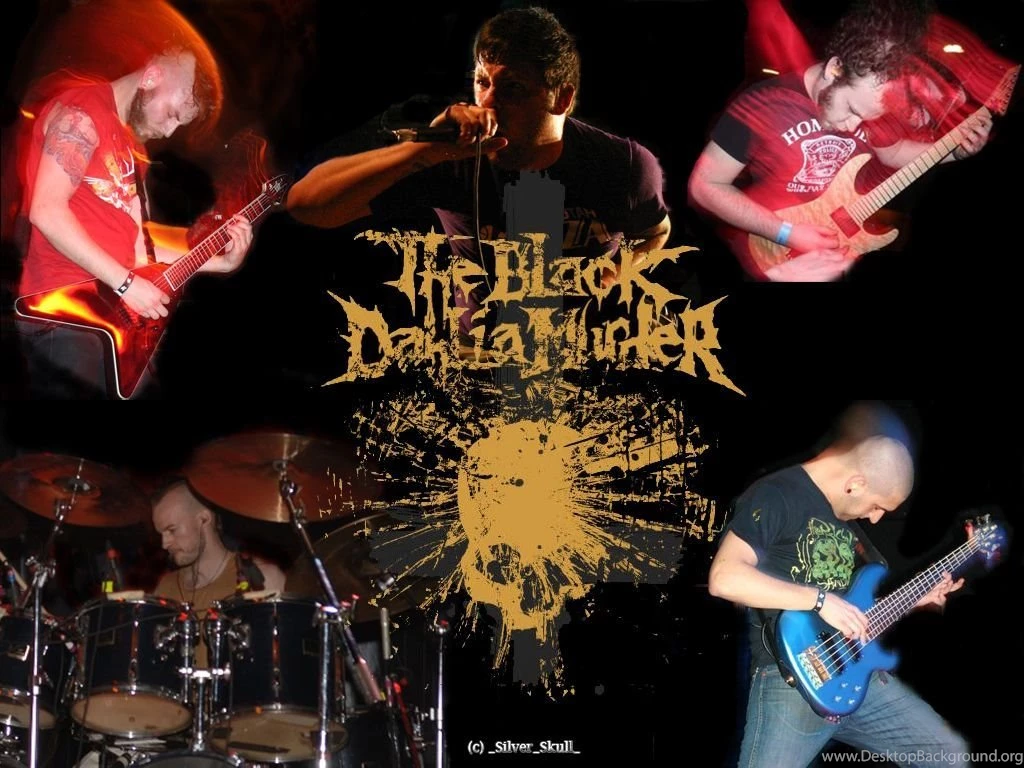 Gallery For Black Dahlia Wallpapers