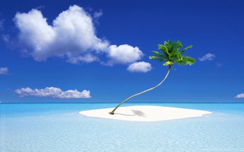 1280x800 Palm Tree Island Desktop PC And Mac Wallpapers