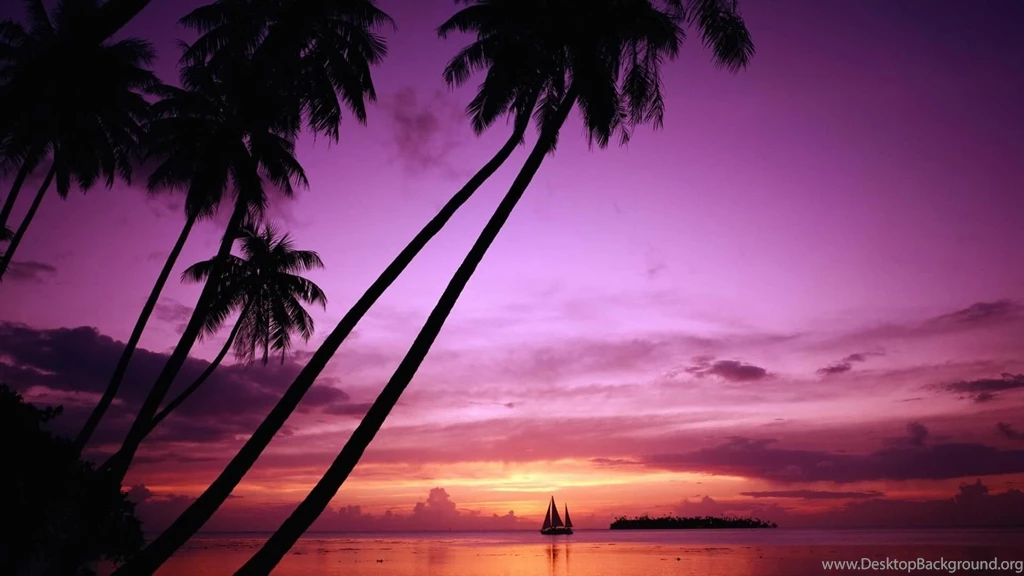 Palm Tree Beach Sunset Wallpaper Desktop Background hugohd.com_ ...