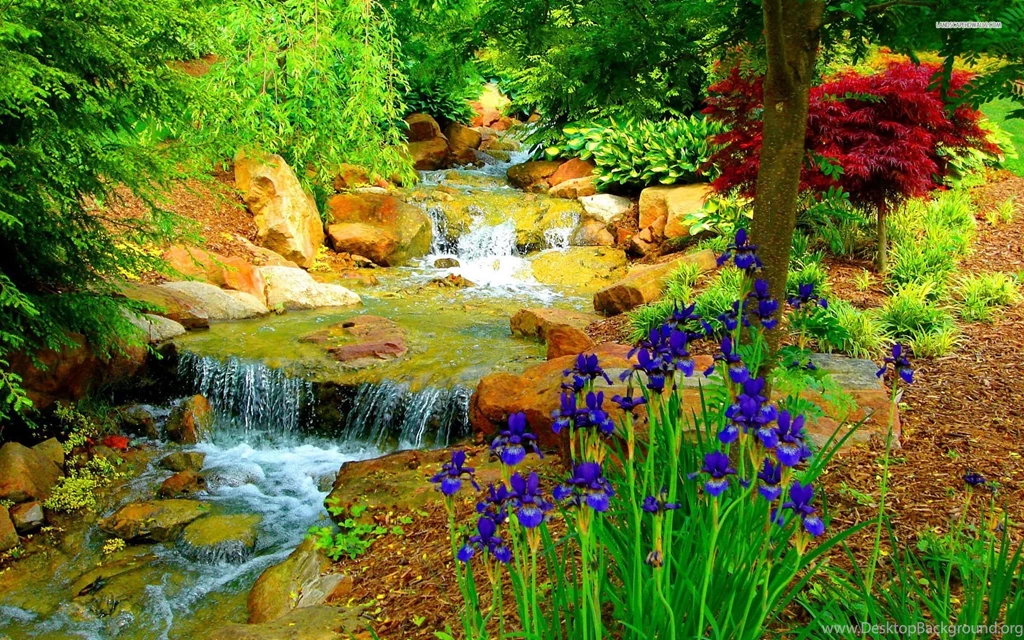 Small Stream In The Flower Garden Wallpapers