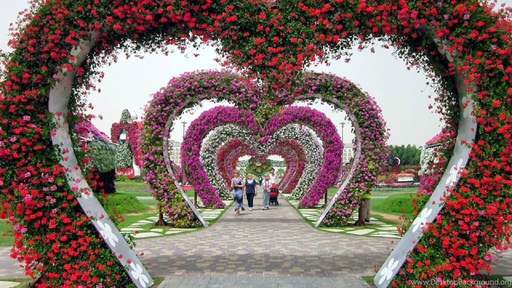 1920x1080 Flowers Garden, Garden, Dubai Miracle Garden, Flower ...