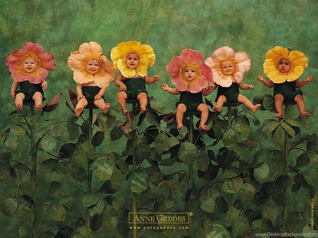 Flower Garden Of Babies Sweety Babies Wallpapers (8130967) Fanpop