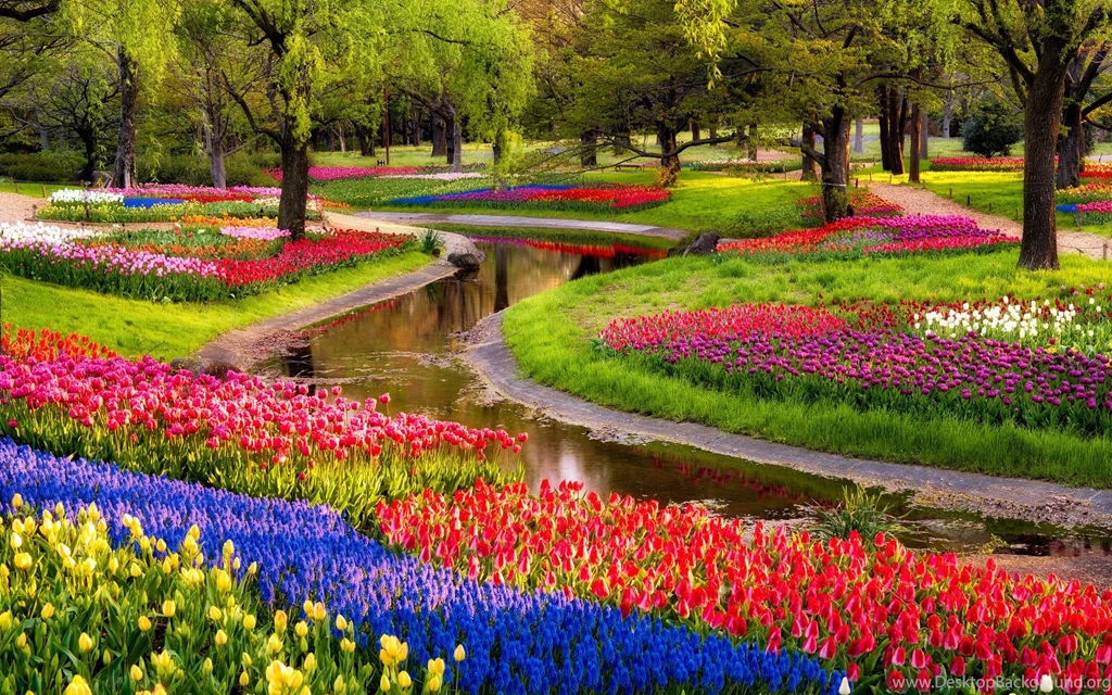 Beautiful Nature Flowers Garden Wallpaper.