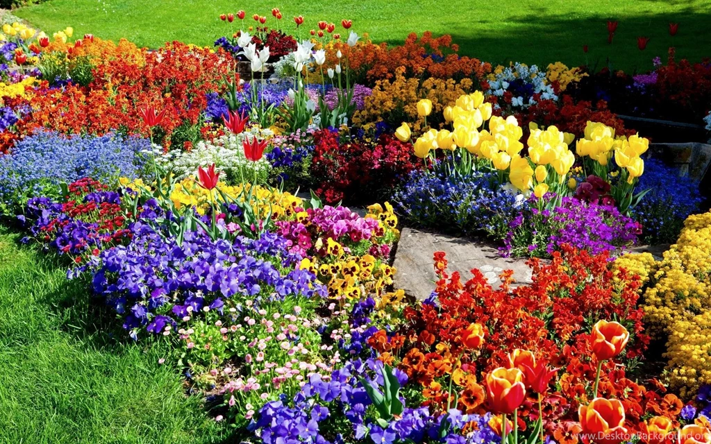 Gallery For Gardens Flowers Wallpapers
