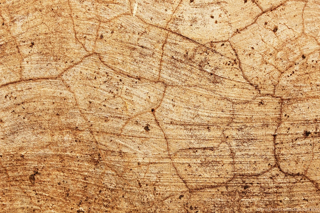 Old Cracked Wall Of Cement For Website Backgrounds Download ...