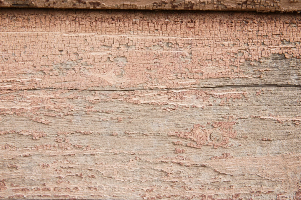Wood Panel Backgrounds Wall