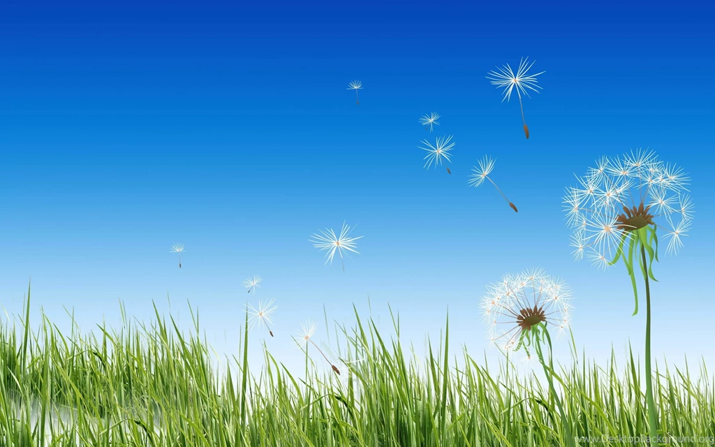 Dandelion Computer Wallpapers, Desktop Backgrounds