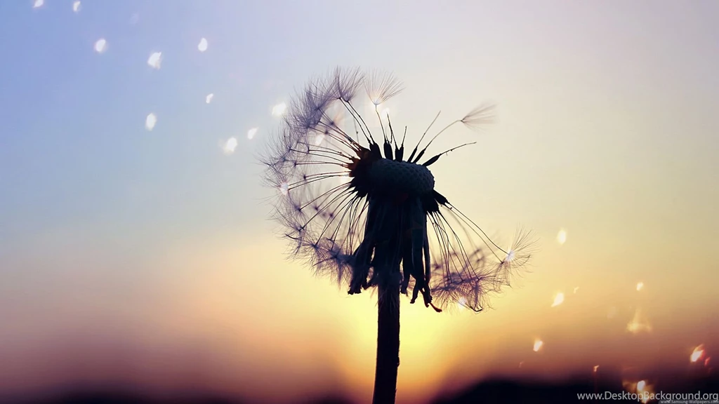 Samsung Galaxy S4 Desktop Backgrounds 1920x1080 Wallpapers_Samsung ...