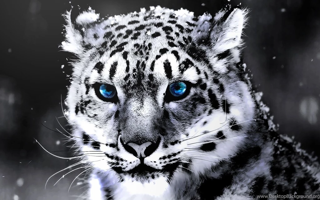 Tiger Desktop Wallpapers