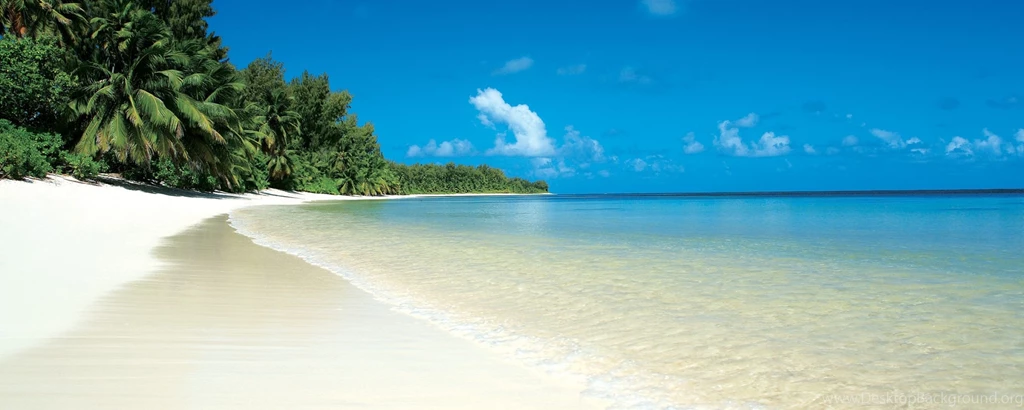 Download Wallpapers 2560x1024 Beach, Tropics, Sand, White, Palm ...