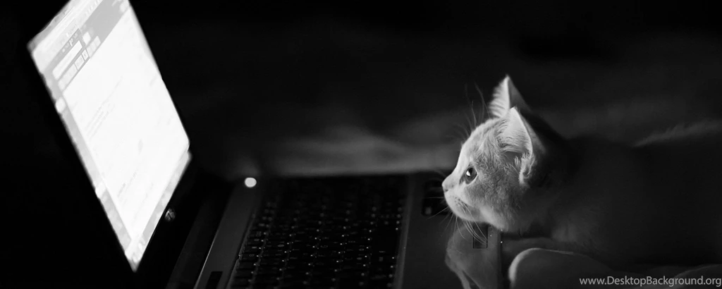 Multi Monitor Dual Screen Widescreen Wallpapers