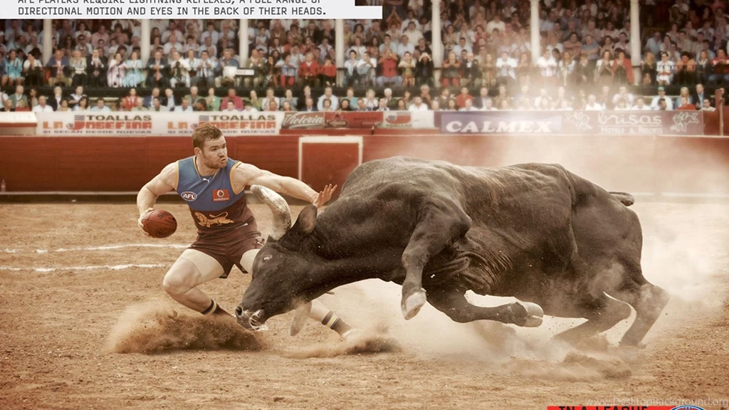 Bull Fighting 1920x1080 HD Wallpapers Sport / Extreme Sports