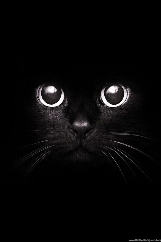 iPhone Wallpapers Http://iphonetotkok infinity.hu Iphone 4/4s ...