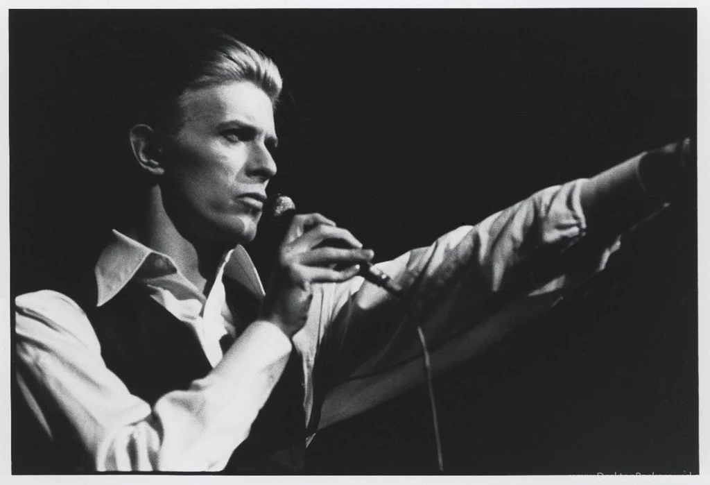 Gallery For Davi Bowie Wallpapers